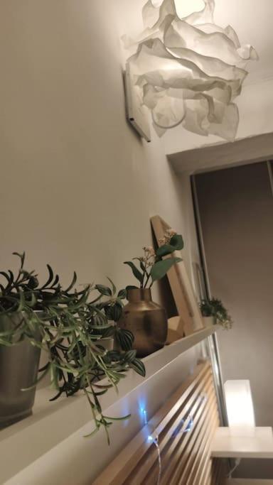Appartement - Brando Exteriör bild